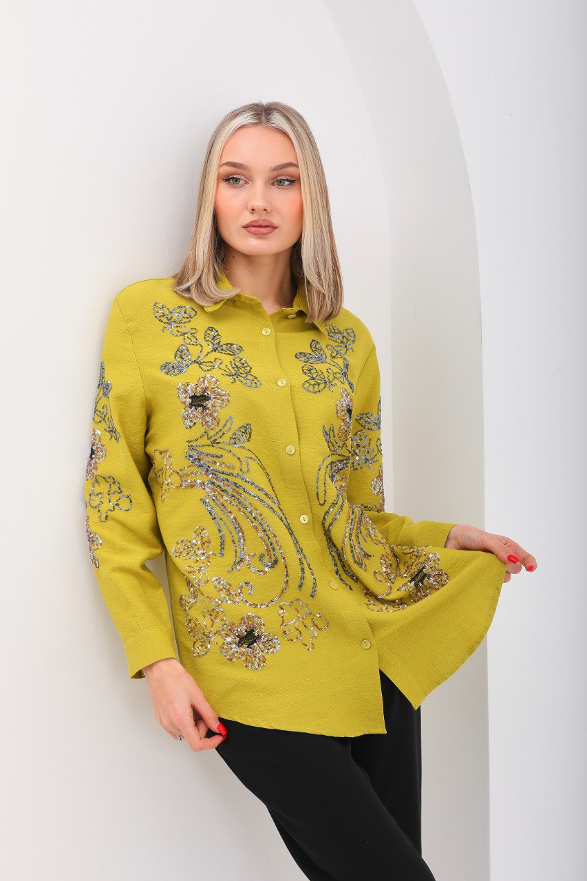 Kiwi Embellished women shirt